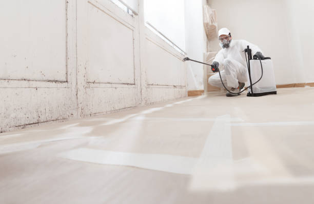 24/7 Emergency Commercial Mold Remediation experts in Perth Amboy, NJ