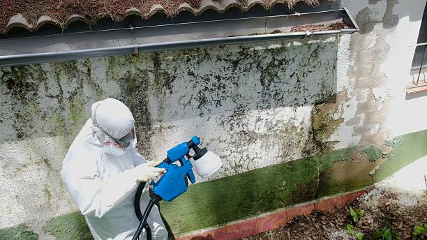 Trusted Commercial Mold Remediation service in Perth Amboy, NJ - Cheap Mold Removal